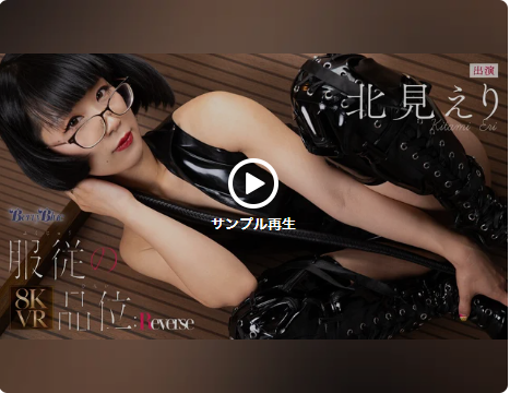 【VR】服従の品位:Reverse 北見えり